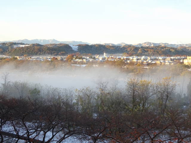 20161125